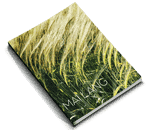 Softcover-Books-Quote-Category