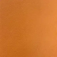 T302-8 orange